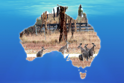 The Art of Living in Australia